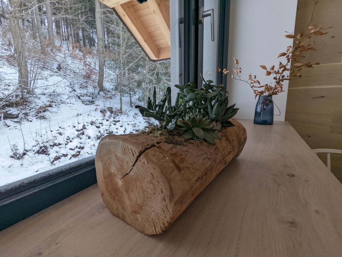 Jasmin Home Vítkovice المظهر الخارجي الصورة